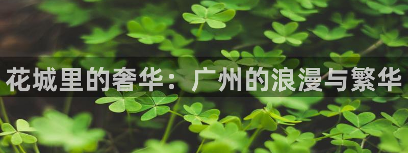 永信贵宾会大厅