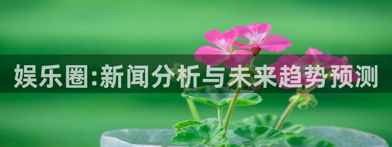 永信贵宾会官网